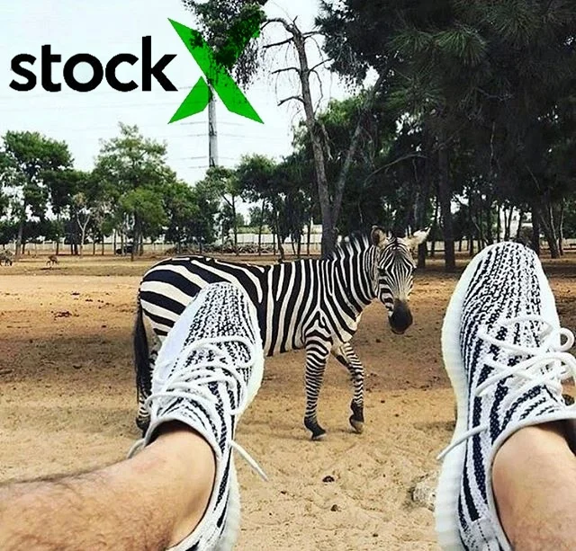 yeezy zebra 2021
