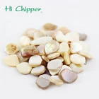 Sea Shell Of Crushed Sea Shell Mother Of Pearl For Terrazzo