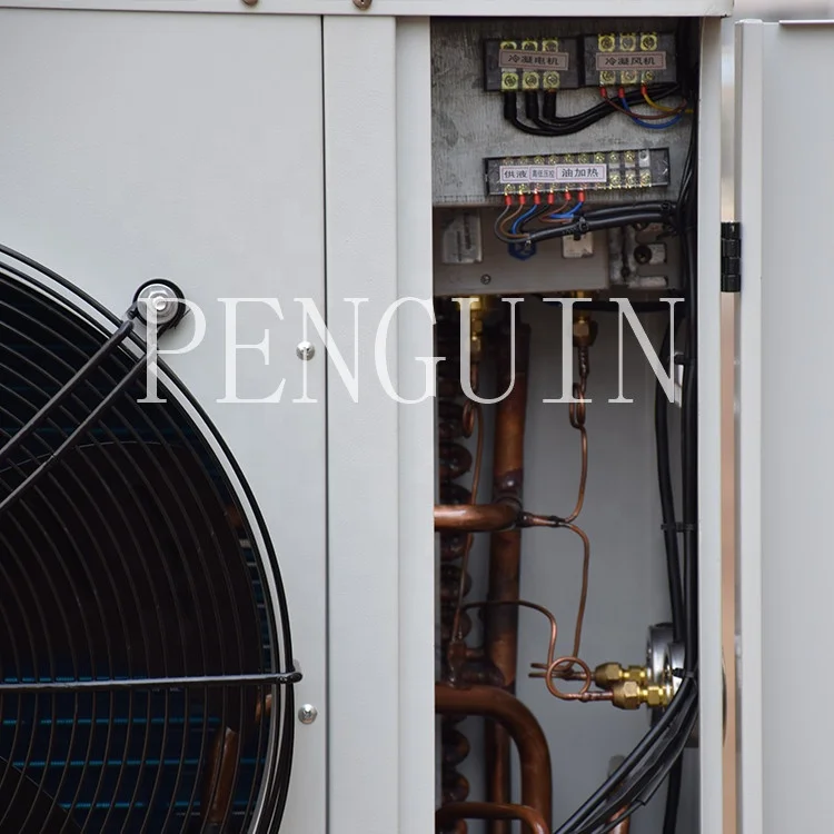 Condensing Unit, R22, R410A, 4HP, Scroll - detail 6