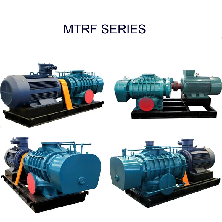 Roots Blower, MTRF, 220 V, 267m3 - detail 6