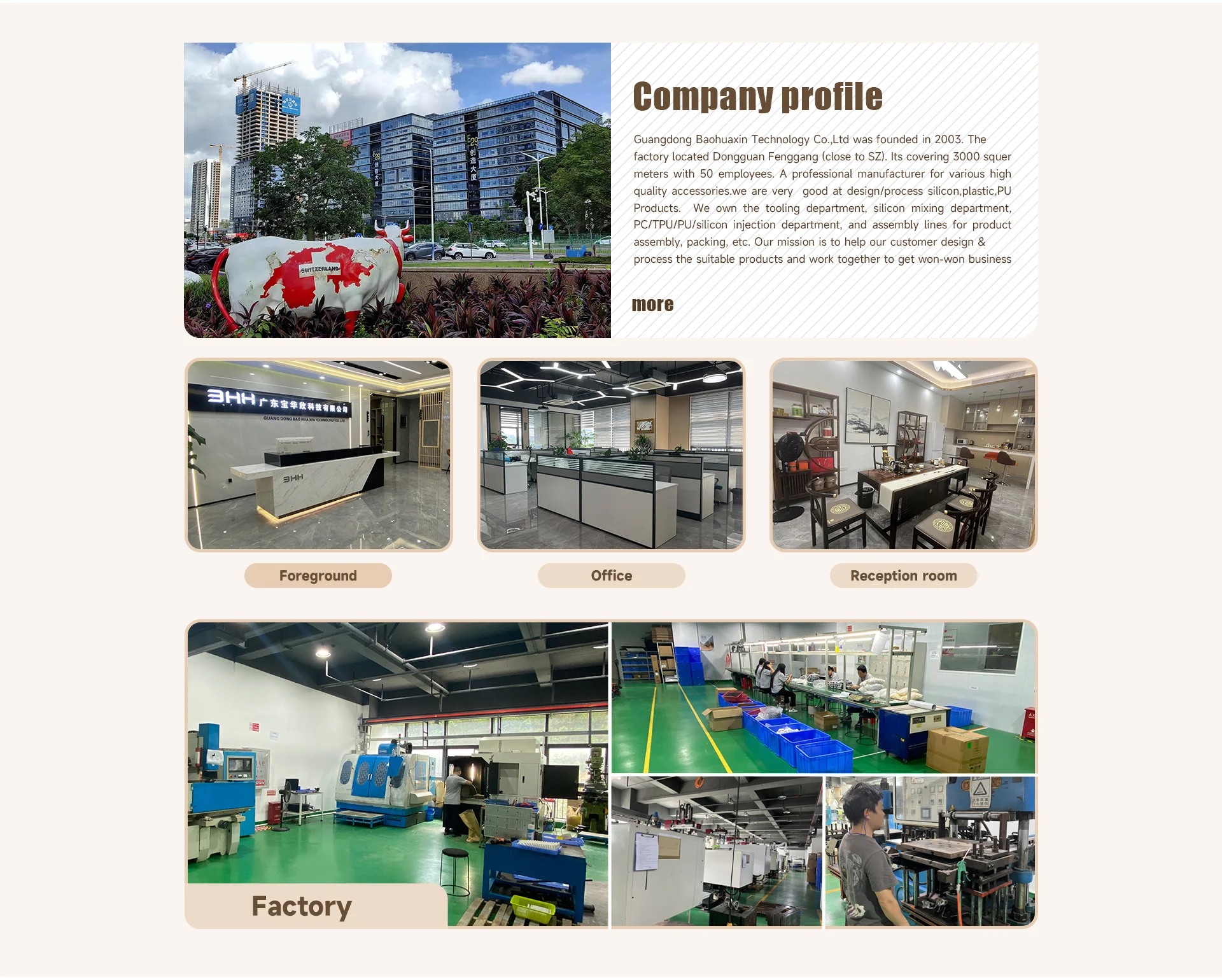 Company Overview Guangdong Bao Hua Xin Technology Co Ltd