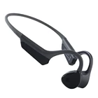 Bluetooth Ear Hook Style Bone Conduction Bluetooth V5.0 Wireless Headphone With Microphone For Sports