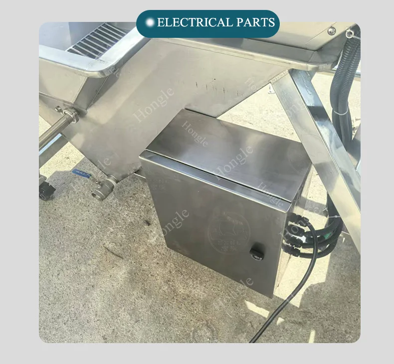 Stainless Elevator Bucket Washing Conveyor Belt Assembly Line Potato Carrot Ginger Presoaking Fruit Conveyor Elevator Machine supplier