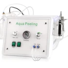 Mini Dead Skin Removal Exfoliating Skin Renewing And Lightening Mini Professional Hydra Machine