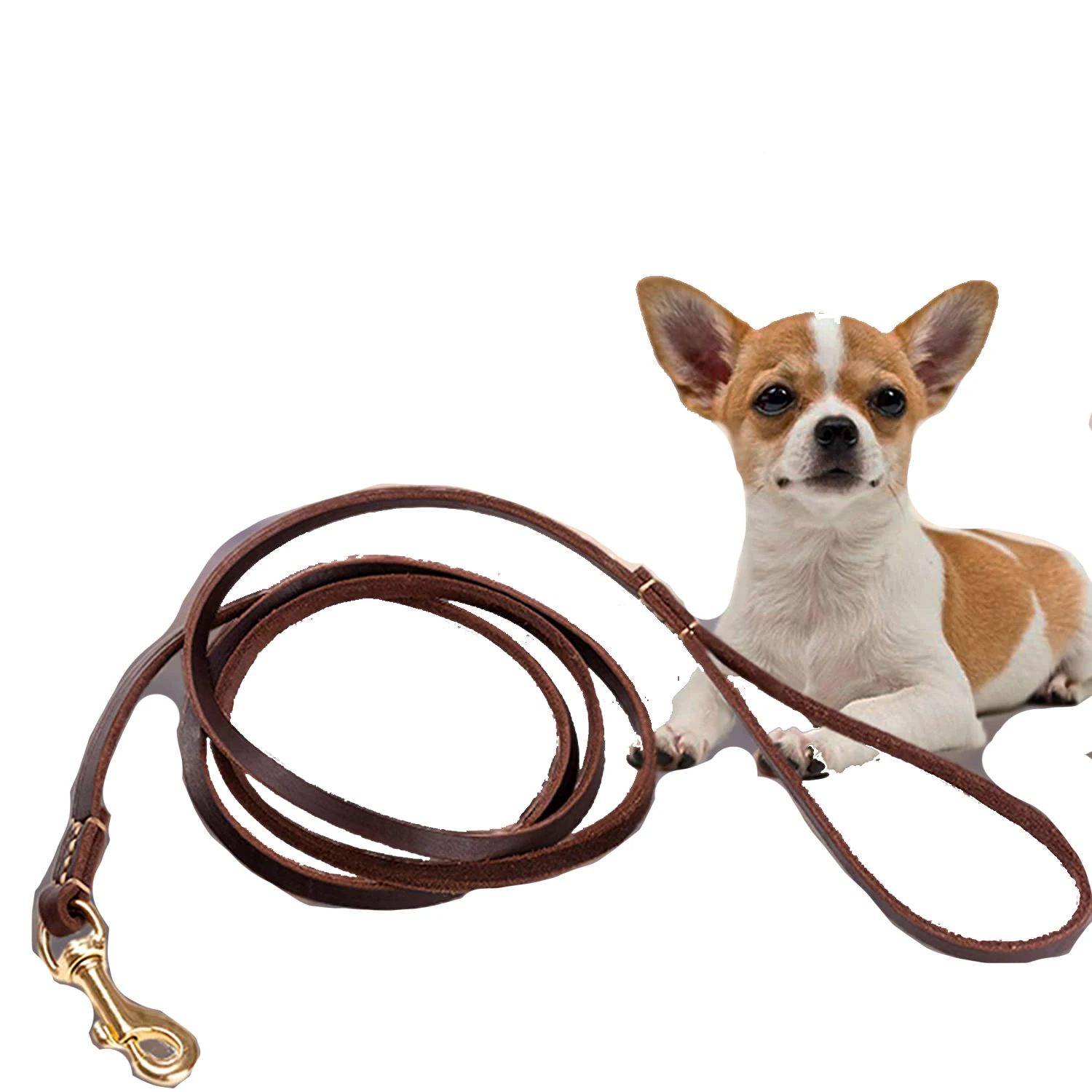 surfboard dog leash