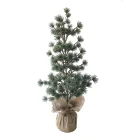 Christmas Family Christmas Large Decorative Luxury Encrypted Christmas Tree Family Pine Needle Tree