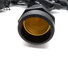 Ce Warm White Festoon Lights Outdoor CE ROSH Certificated Outdoor Waterproof IP65 Warm White Remote Control Festoon Lighting