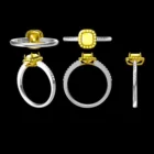 Silver Silver 3D Jewelry Cad Designs Jewelry CAD Models For Jewelry Making Customized Jewelry 3D