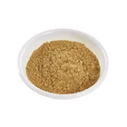 Tea Hot Sale Fermented Tea Drink Kombucha Kombucha Tea Kombucha Powder Tea