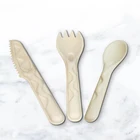 Professional Japanese Children Steak Kitchen Cutting Cooking Fruit Fork Spoon Chef Knife Sets