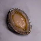 Abalone Green Abalone For Sale Chilean Abalone With Frozen Abalone