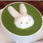 Green Popular Selling Organic Green Matcha Tea Powder