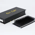 Eyelash Artstar Profession 2021 Lash Extension Lash Trays Individual Mink Eyelash Extension Private Label