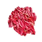 Chili Chilli Hot Selling Red Hot Chili Chilli Crush With Visible