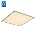 Led Panel Light Led 30w Led Panel Light Approved LED Driver 2x2ft 2x4ft 20w 30w 40w Panel Led Troffer Mounted Light