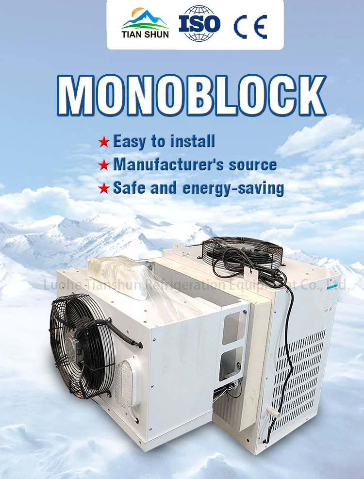 Cooler, Monoblock, 2hp, 3hp, R32 - detail 2