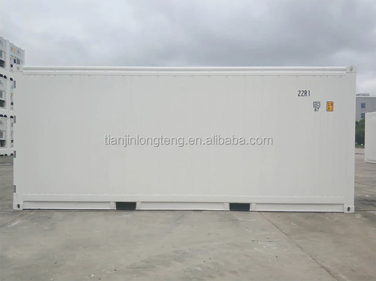 20ft Cold Storage Room Reefer Container From Stock Thermo King Cooler