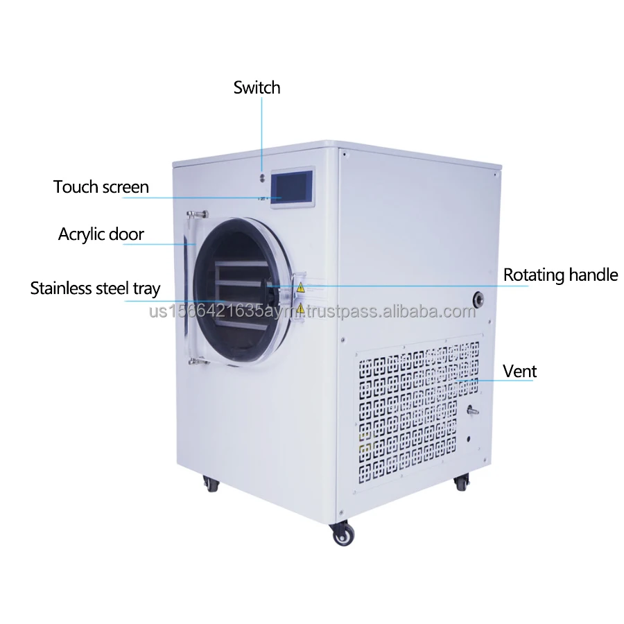 Home Freeze Dryer Meat Freeze Drying Equipment Vacuum Freeze Dryer