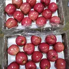 Fuji Apple Fujiapple Best Price Fuji Chinese Red Apple High Quality For Export