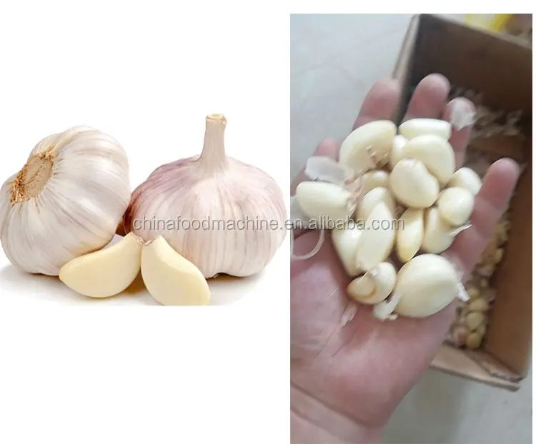 High Quality 400 Kg Chain Type Dry Garlic Onion Peeling Machine Auto Garlic Skin Peeler Machine details