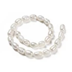 Seashell Beads Seashell Pandahall Natural Seashell Color Rice Cultured Freshwater Pearl Beads
