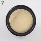 Green Powder Powder Food Grade Pure Natural Green Mung Bean Protein Peptide Powder Mung Bean Peptide Powder