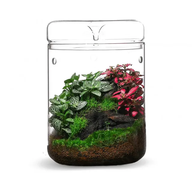 Wabi Kusa Glass Terrarium - Covered with Condensation Drain, Ventilated for Micro Landscapes