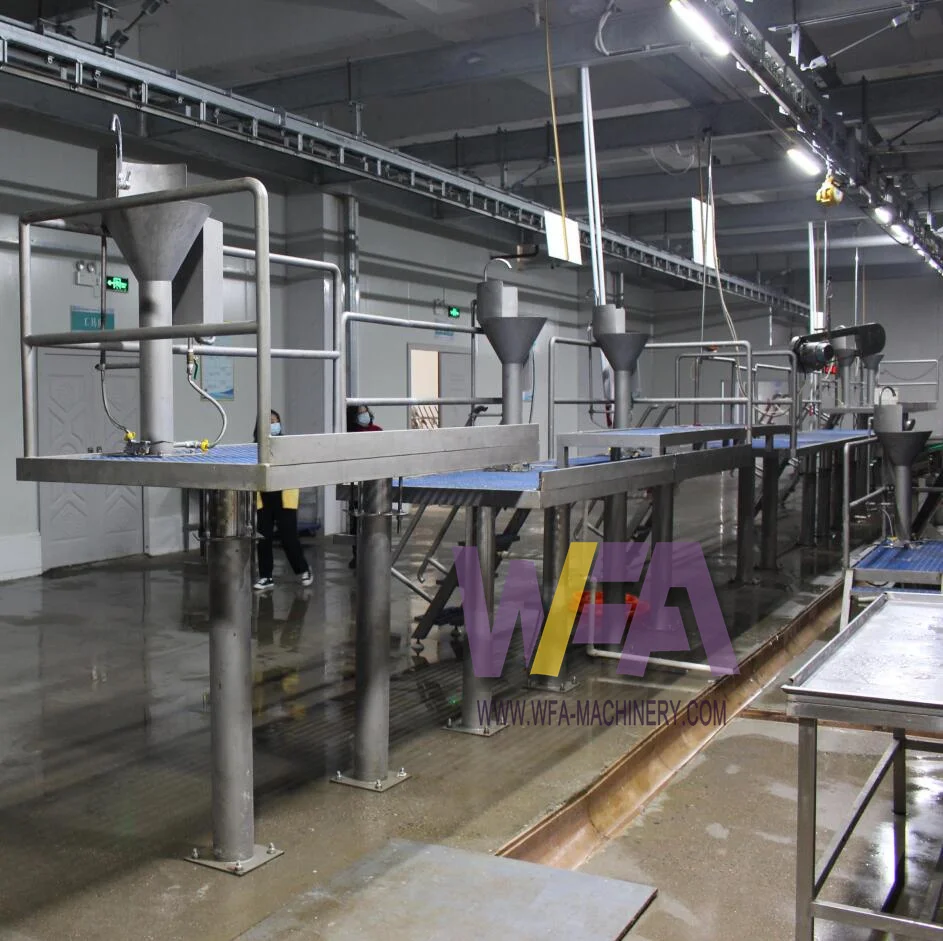 Modern Abattoir Pig Slaughterhouse Meat Processing Line For Sow