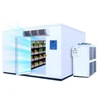 Storage Cold Room Meat Container Freezer Cold Storage Room For Meat