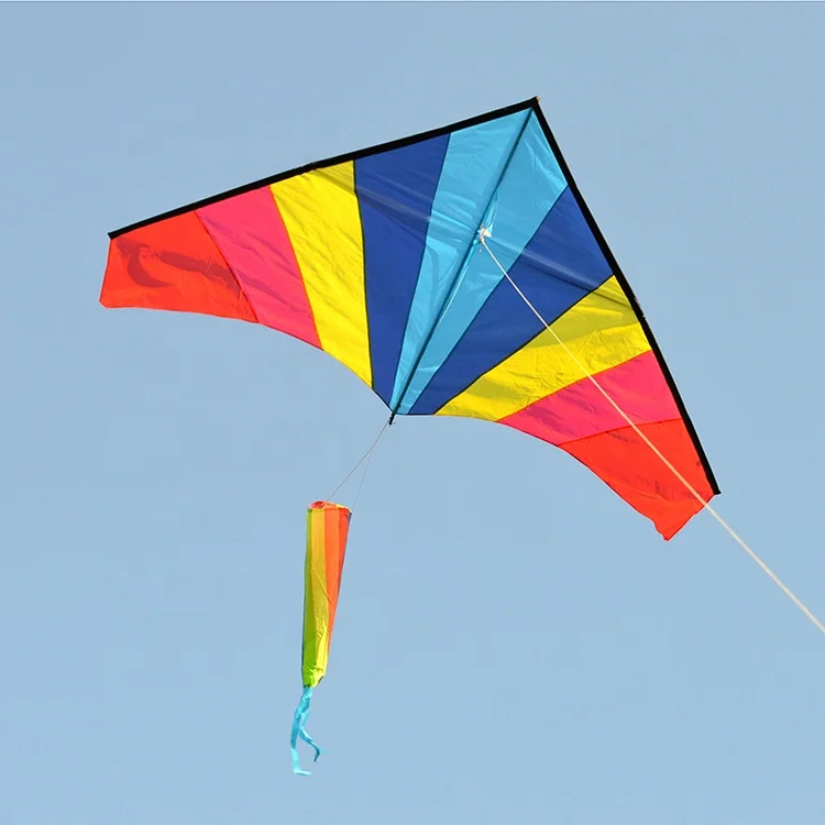 Large Delta Kite For Kids And Adults Easy To Fly Kite Outdoor Hobby Toys New 1pc 
