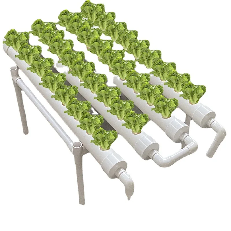 WXL331 Home Garden Planting Rack One Layer Hydroponics System Equipment Planting Soilless Cultivation Device