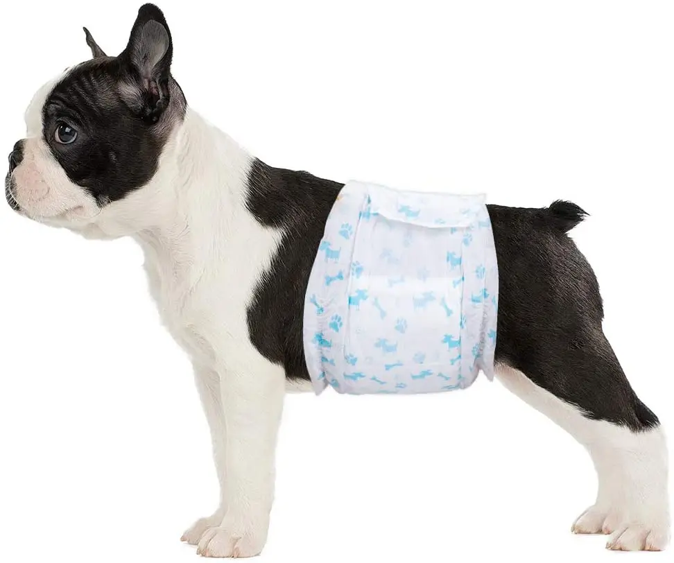 dog diaper xl