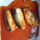 Chili Cheap Canned Sardine In Tomato Sauce With Chili African Marcket 230g/425g 235g/425g