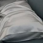 Silk Multi Mulberrry Silk Pillowcase 100% Pure 6a China Factory Multi Colors No Minimum