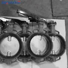 Ebro Valve Ebro Wafer Butterfly Valve Dn50 Dn80 Dn125 Dn150 Dn200 With Good Price