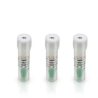 China Manufacturer High Performance 1kb Ladder DNA Marker 1000 2000 3000 4000 5000 6000 8000 10000bp