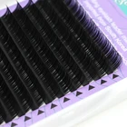 Eyelash Eyelashes Individual Eyelash Extensions Supplies Wholesale Volume False Eyelashes Extension Lash Trays