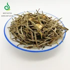 Tea 2020 Newly Refining Fujian Jasmine Tea Silver Needle White Tea Fuding Flavored Jasmine Tea