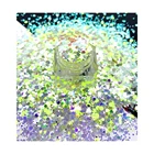 Top Glitter High Light Gold Blue Top Quality Glitter Mixed Dox Glitter For Craft Decoration