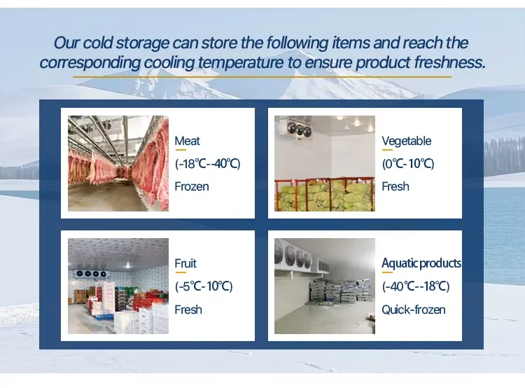 Freezer, 220V, 2 ton - detail 32