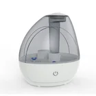Eco New Original Salt Lamp Desk Top Purifier Eco Friendly Diffuser Air Humidifier With Wholesale Price