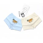 Underwear Manufacturer Custom Wholesale Suitable For 2-16 Year Old Boys' Underwear