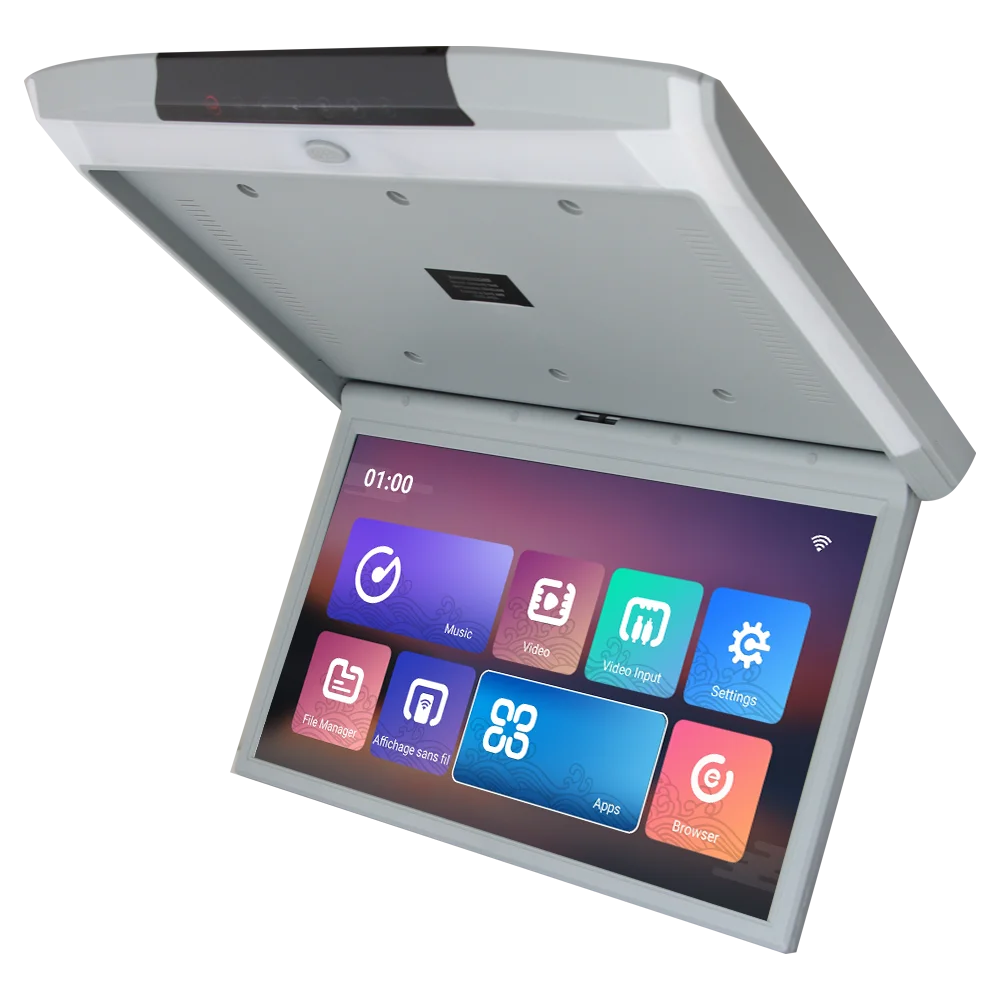 car roof monitor (1).png