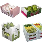 Box Plastic Plastic Box Packaging Cheap Price Melon Stackable Packaging Box Plastic Corflute Box Packaging Box