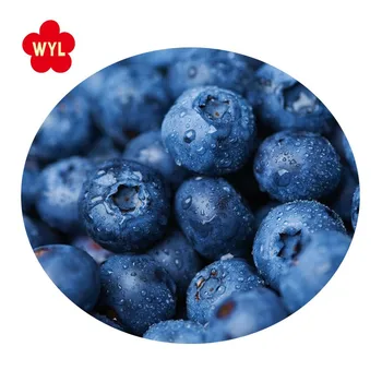 IQF Frozen blueberry fruits for Wholesales with Best Price Good Quality IQF Frozen blueberry