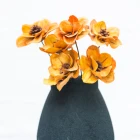 Made Decoration And New Ginger Nv Flower Dried Flowers Made Of Plant Materials For Home Decoration And Shooting Props