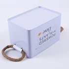 Tin Rectangle Tin Box Metal Storage Box With Handle