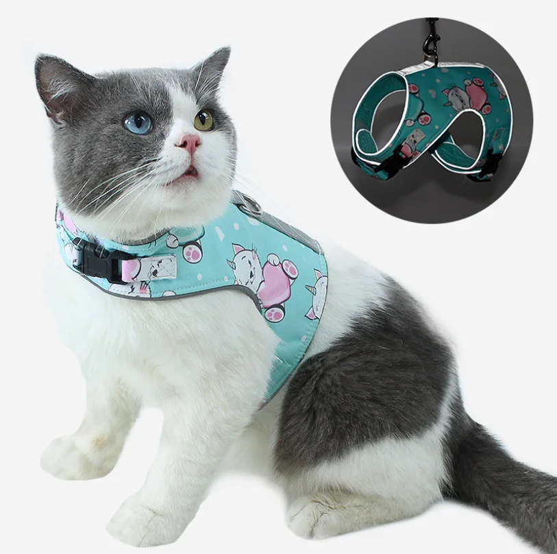Are Cat And Dog Harnesses The Same