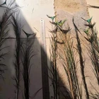 Decoration 80-120 Cm Peacock Feathers Natural Flower Arrangement DIY Crafts Vase Arrangement Feather Hotel Decoration
