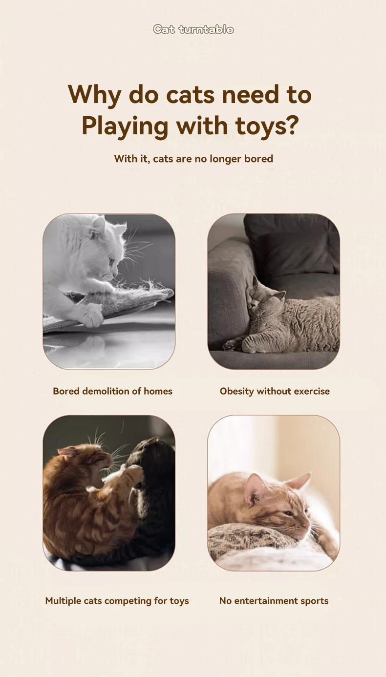 Pet Supplies Tumbler Cat Feather Toys with Bell Ball Teasing Cat Toys Self-help Interactive Cat Tumbler Toys supplier